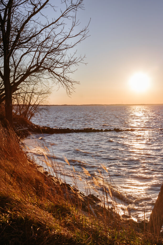 scenic queenstown harbor on the maryland's eastern shore in the winter